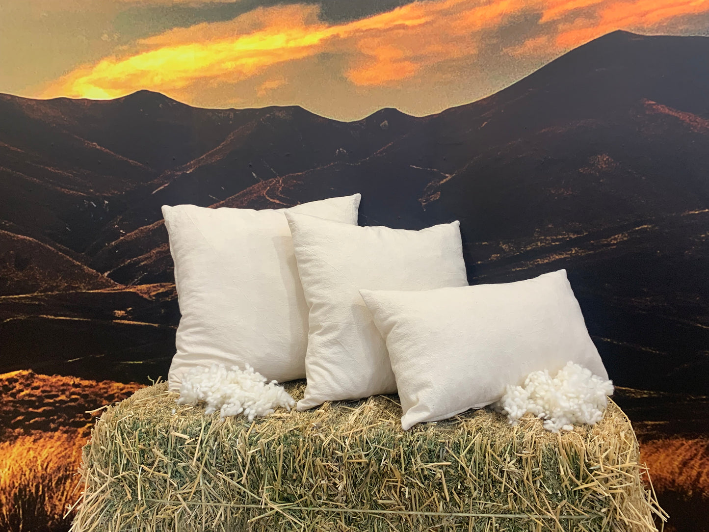 Cotton Inner Wool filled Cushion