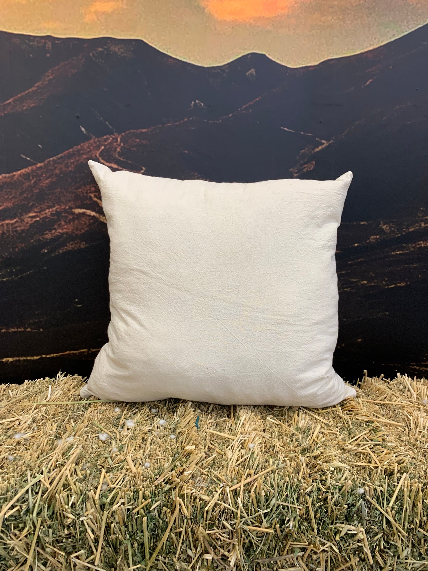 Cotton Inner Wool filled Cushion