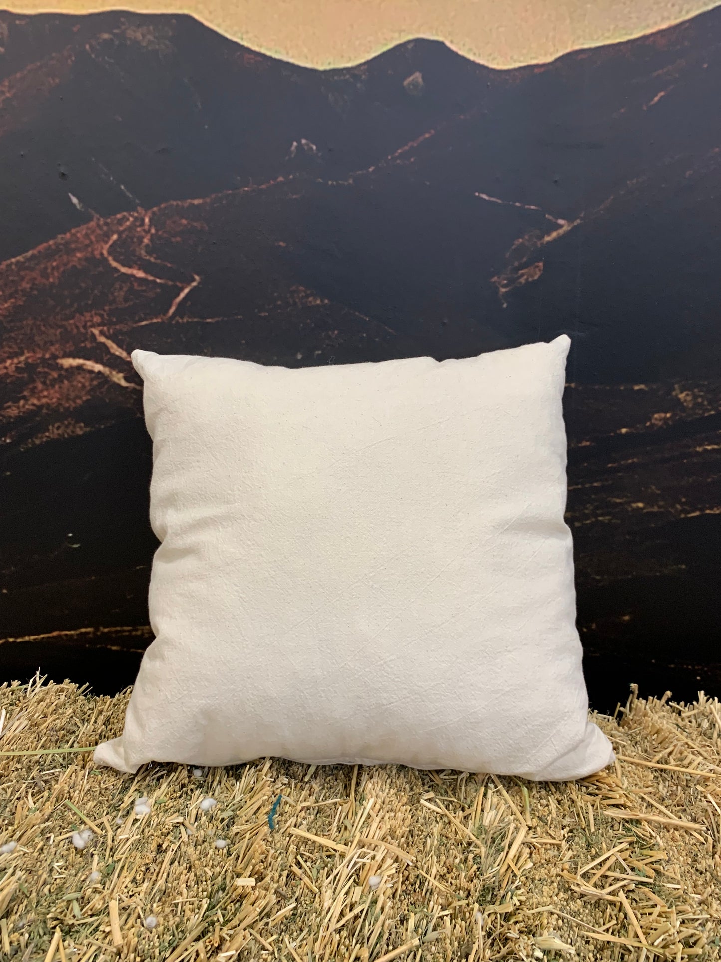 Cotton Inner Wool filled Cushion