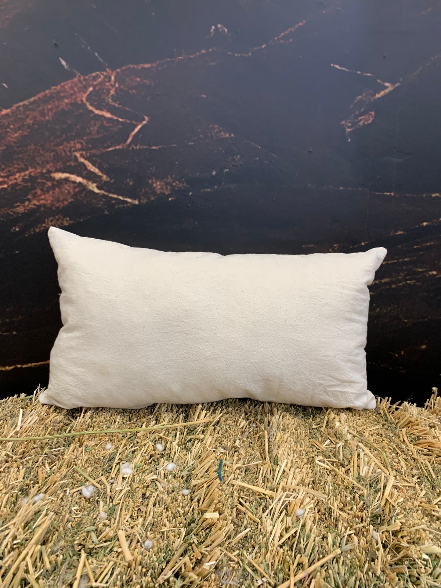 Cotton Inner Wool filled Cushion