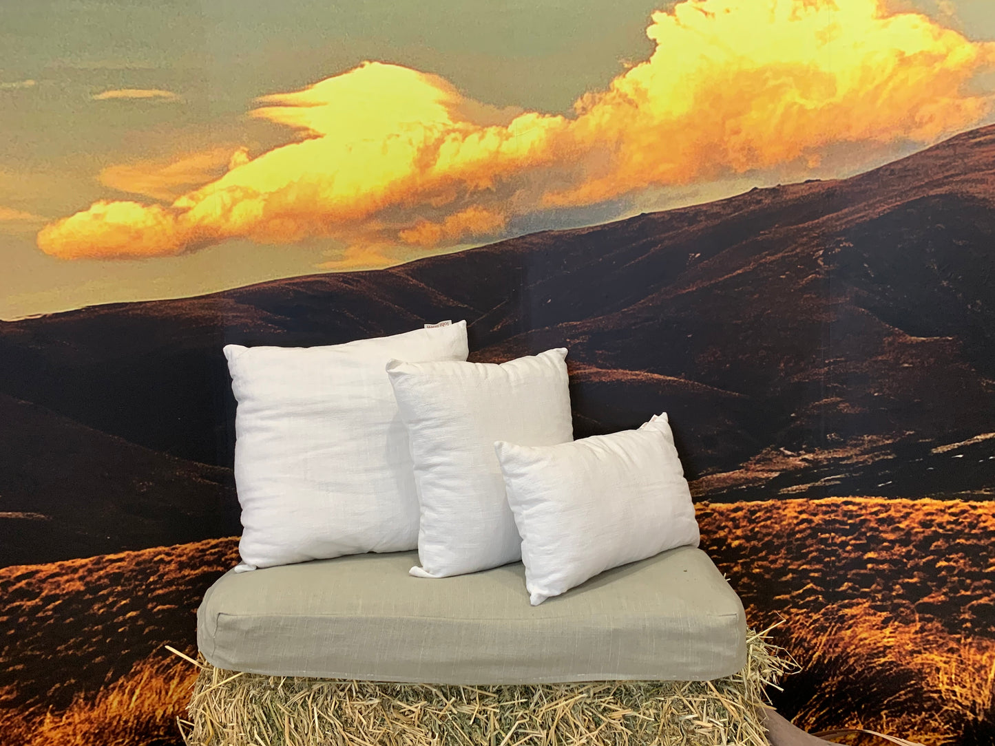 Complete Linen Cushion filled with Wisewool