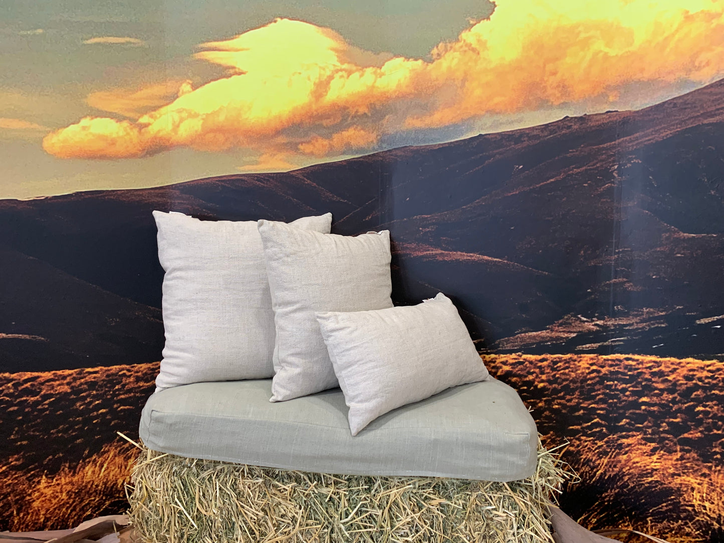 Complete Linen Cushion filled with Wisewool