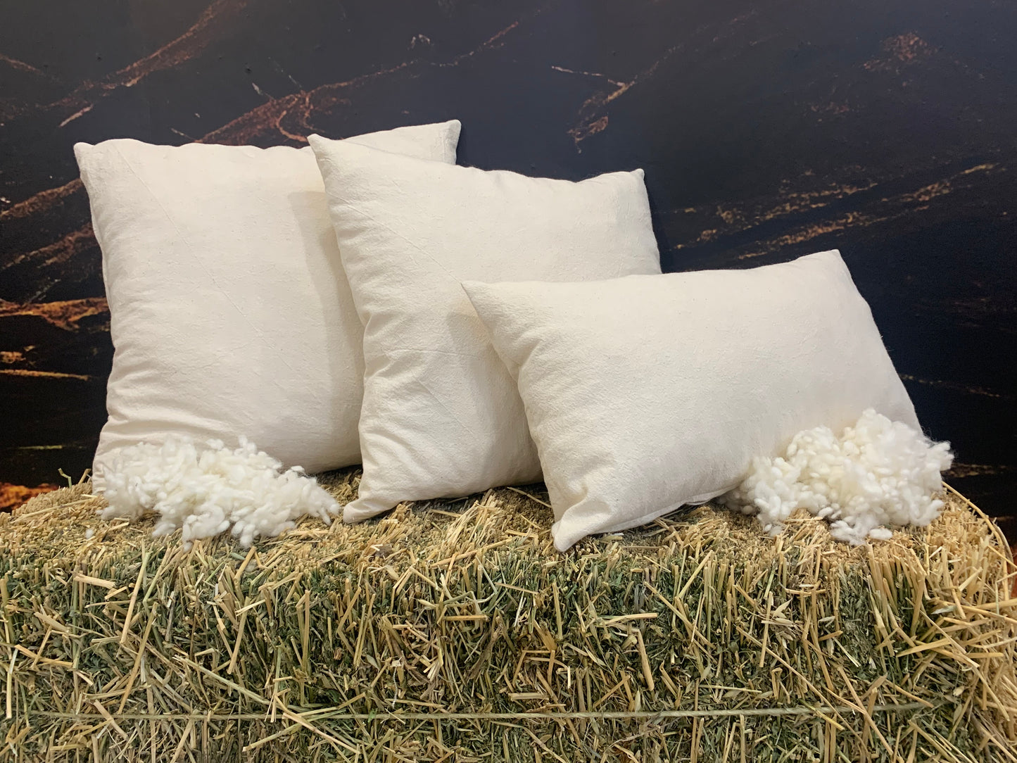 Cotton Inner Wool filled Cushion