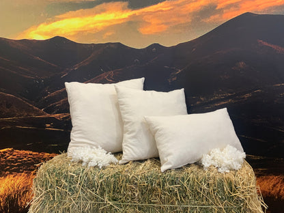 Cotton Inner Wool filled Cushion