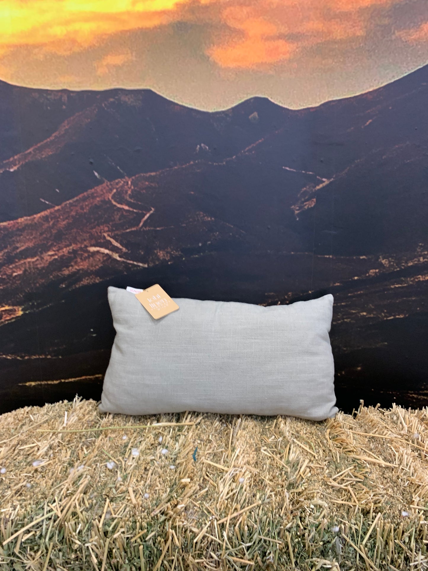Complete Linen Cushion filled with Wisewool