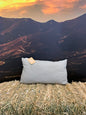 Complete Linen Cushion filled with Wisewool