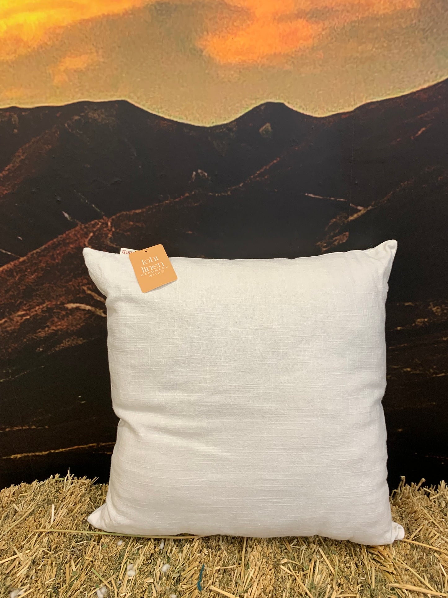 Complete Linen Cushion filled with Wisewool