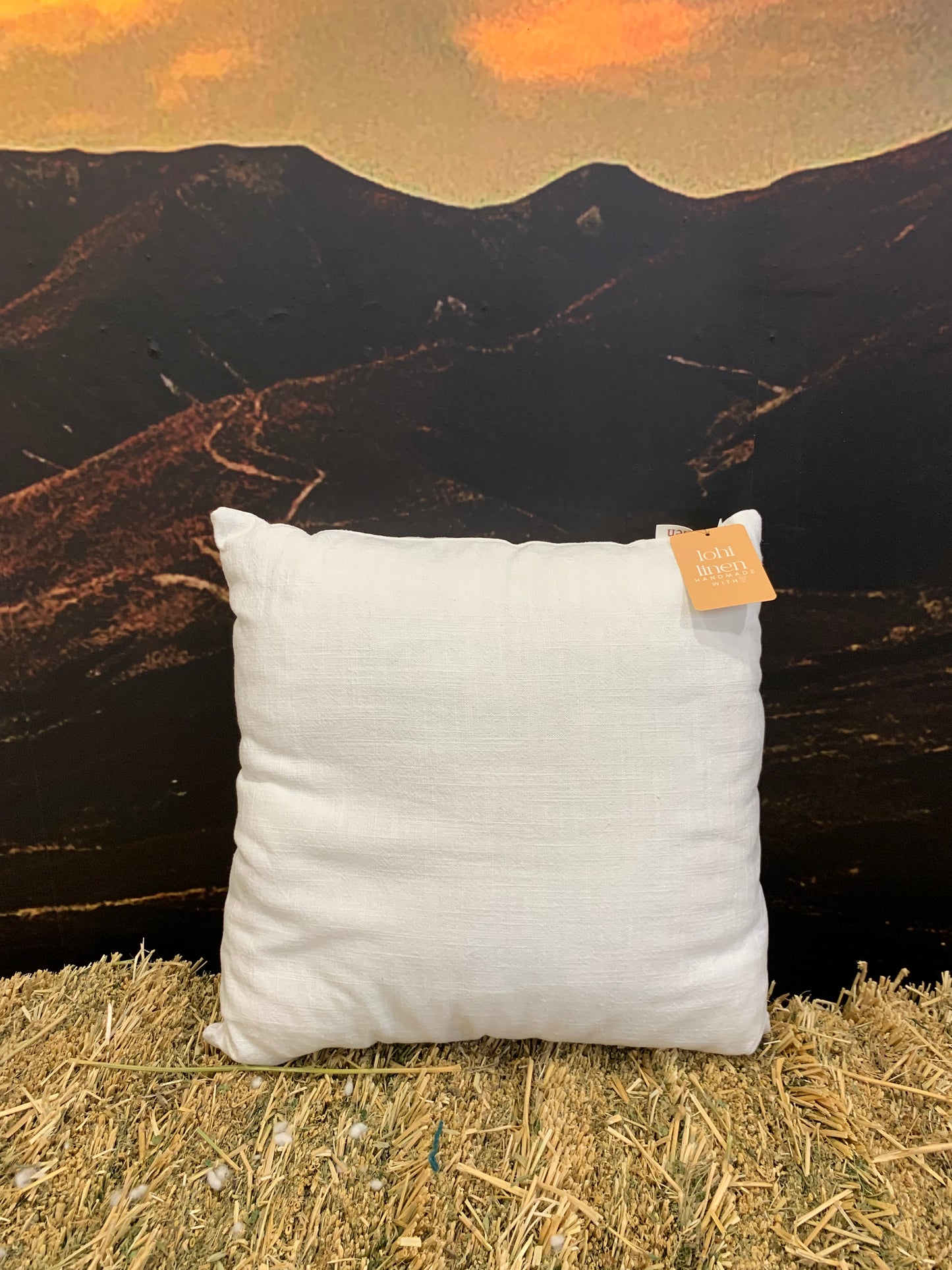 Complete Linen Cushion filled with Wisewool