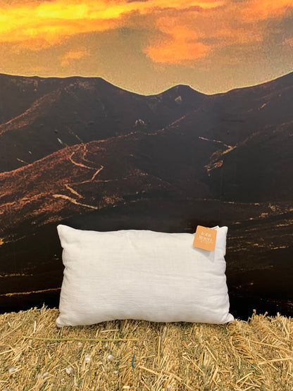 Complete Linen Cushion filled with Wisewool