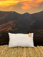 Complete Linen Cushion filled with Wisewool
