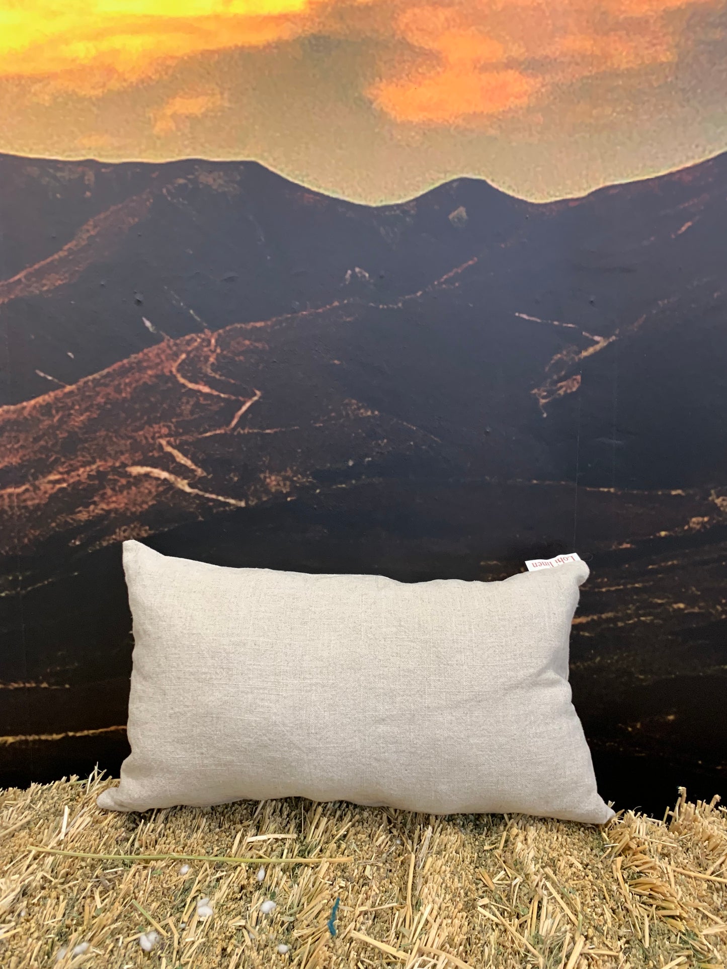 Complete Linen Cushion filled with Wisewool