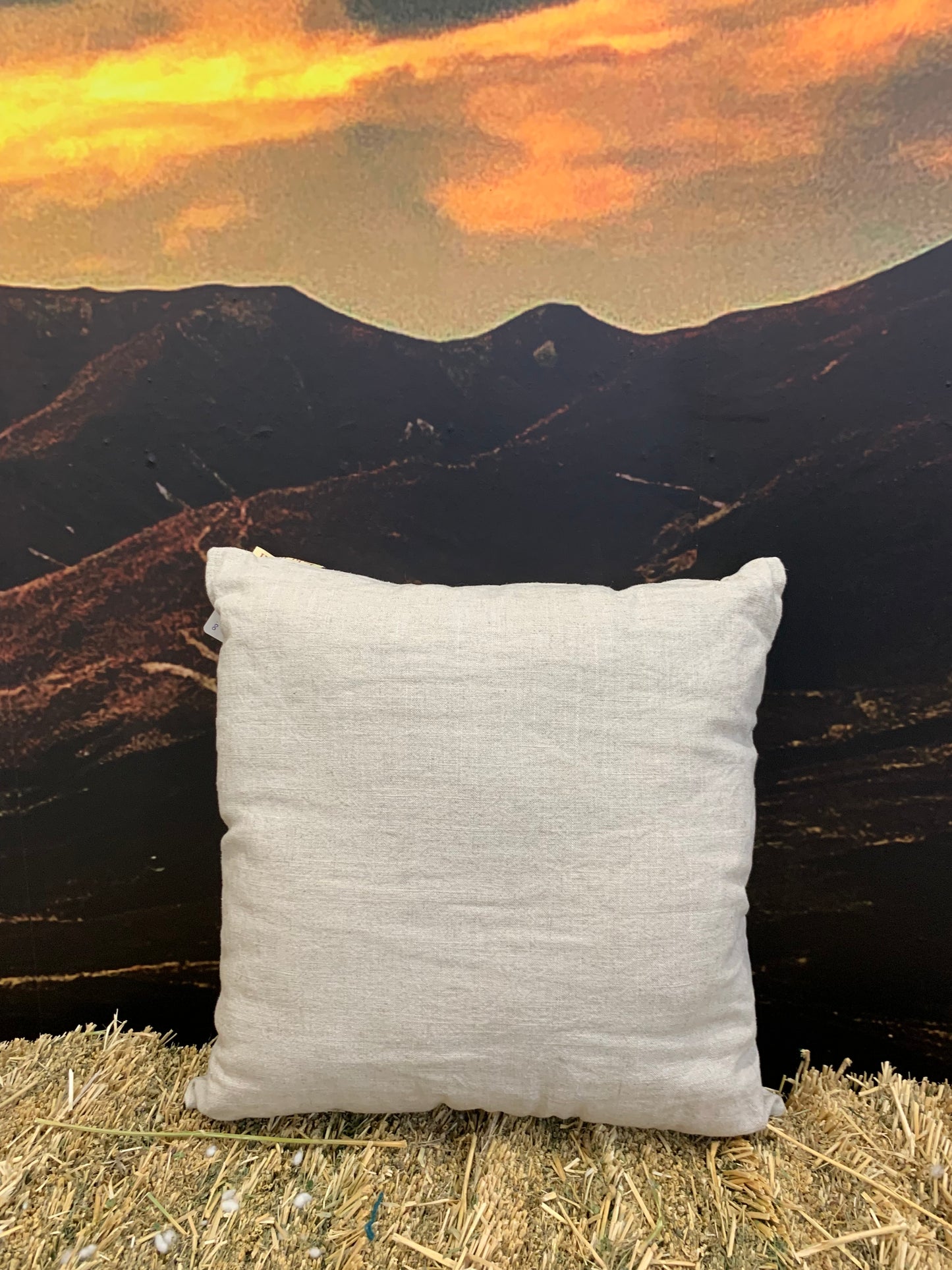 Complete Linen Cushion filled with Wisewool
